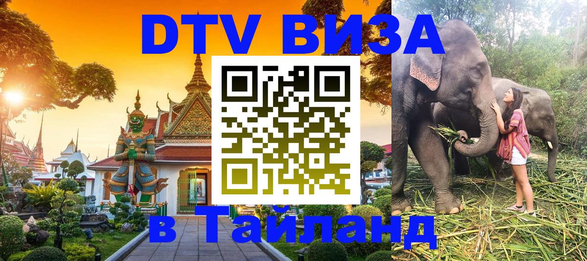 Сколько стоит DTV виза — актуальные цены, оформление даже без документов - 
